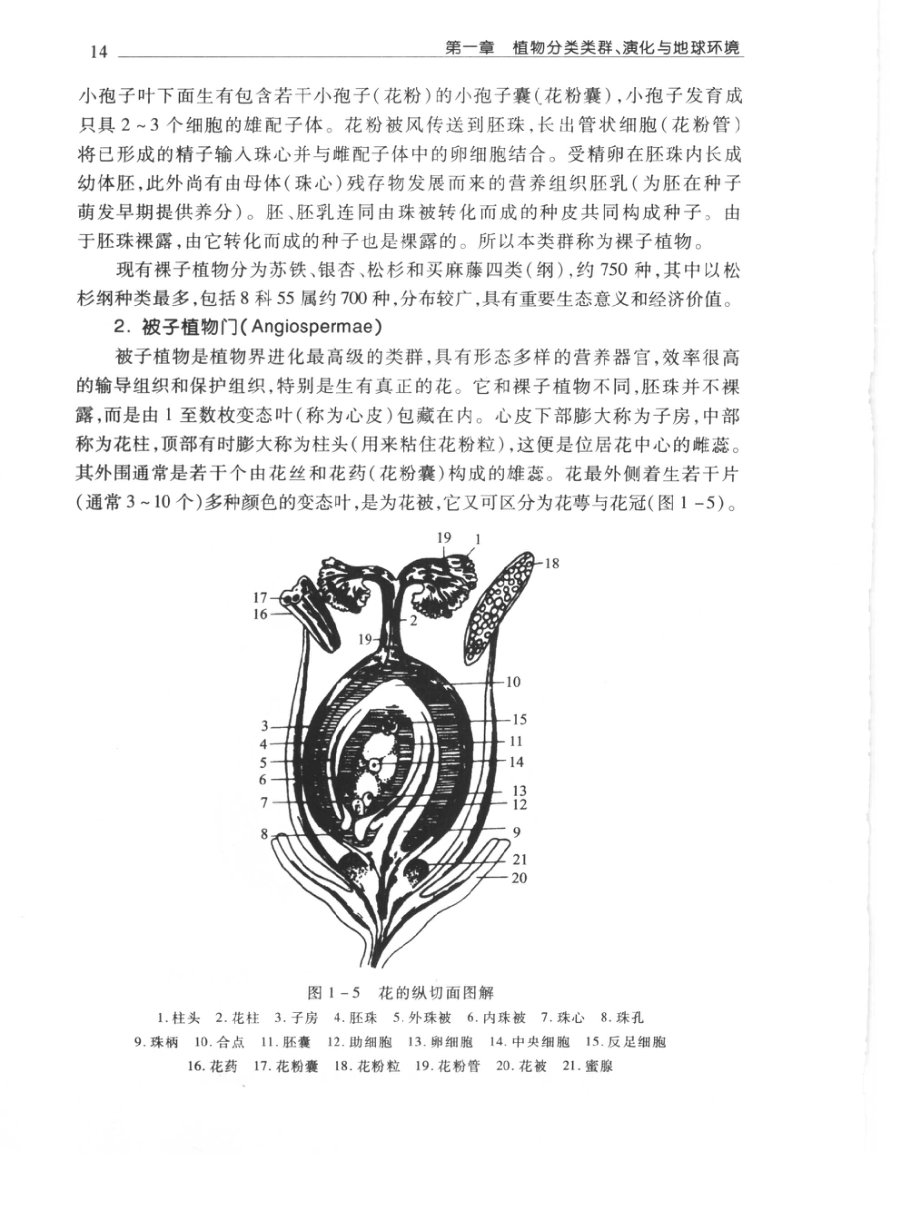 内页 6